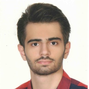 دانا افاضلی