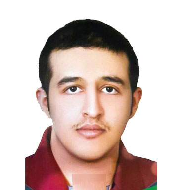 پارسا هاشمی خرسند