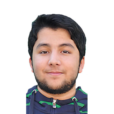 سید حامد ولی زاده